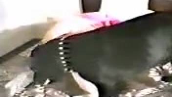 Lustful vixen being vigorously pounded by a black canine