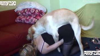 Awesome blonde with shaved pussy likes filthy dog porn XXX