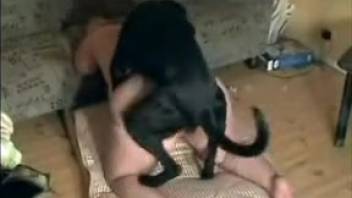 Ebony cock overpowering a sexy babe's snug opening right here