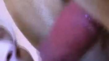 Blonde bestiality enthusiast adores a canine's red rocket on webcam