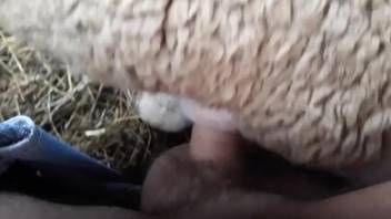 Guy thrusts his steamy dick into a hot vixen from the rear