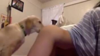 Bouncy butt girl being totally lapped up by a canine