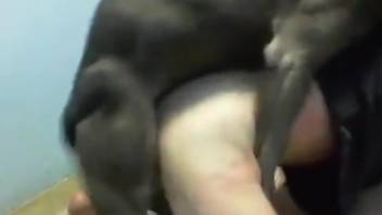 Nice round of hardcore humping with closeups