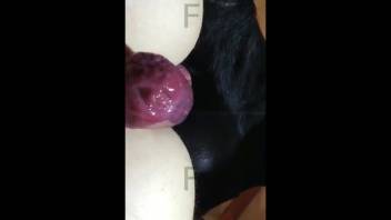 Veiled female in intense naked sequences of homemade bestiality