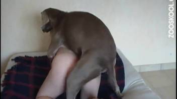 Pale teen girl being roughly banged by a dog