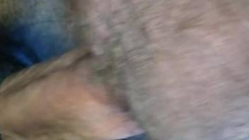 Creampied mare cunt squirting out semen and more