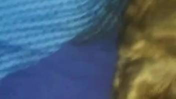 Guy's cock is satisfied by a freaky monster right here