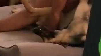 Naked man deep fucks his dog while recording himself