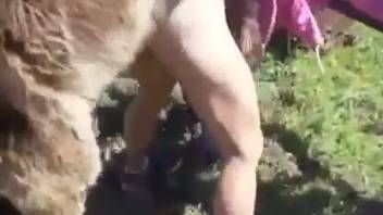 Intense animal sex romp with a perverted beast-fucking mature seductress