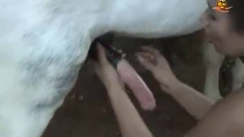Sexy babe shoves horse's cock into her groomed pussy
