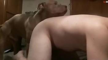 Hot animal pounding zoophile hole from behind