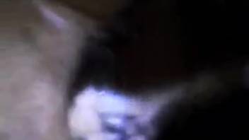 Guy deeply thrusts into fluffy beast in intense close-up adult action
