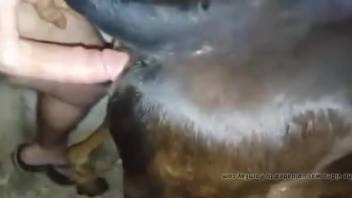 Guy employs his dick to screw a compliant beast