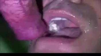 Sexy fellatio expert satisfying a canine's yummy penis