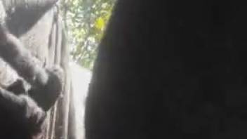 Aroused guy satisfies his lust by screwing a horse