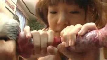 Oriental tramp gags on enormous canine shaft in first-person animal enclosure webcam clips