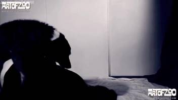 Skilled black canine penetrated a horny novice bestiality fan doggy-style