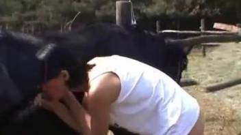 Brunette received horse cum during intensive dick sucking
