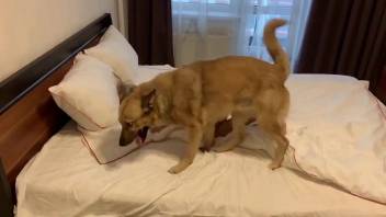 Blonde bombshell gets fucked by a hung monster