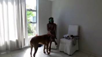 Disguised novice woman films herself engaging in flawless bestiality