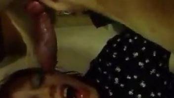 Redheaded lady deepthroating a dog's big member