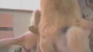 Two babes with long legs are getting nailed by dog in animal XXX