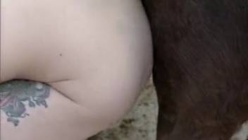 Outdoor bestiality session with a male horse and a skinny young slut