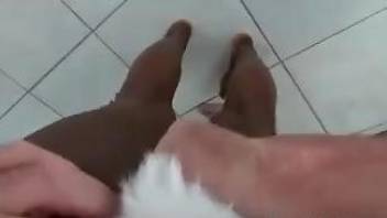 Black bitch aims to get fucked by a brown doggo