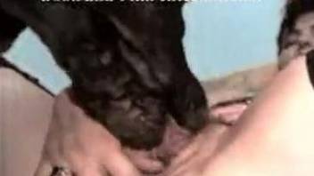 Matures on cam in scenes of brutal zoo porn with dogs