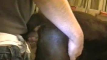Dude fucks his black doggy in amazing bestiality amateur XXX
