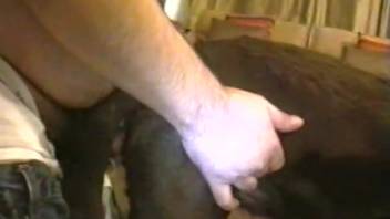 Guy bangs his dark-furred dog in an incredible amateur bestiality porn video