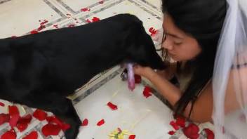Busty chick getting pounded intensely by a canine
