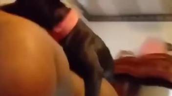 Handjob for a dog after deep doggystyle fucking