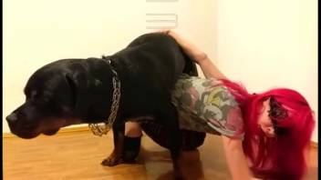 Winged siren presents her slit to a super alluring pup