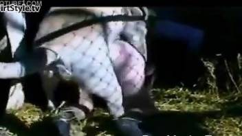 Caged animal plowing a very tight zoophile pussy