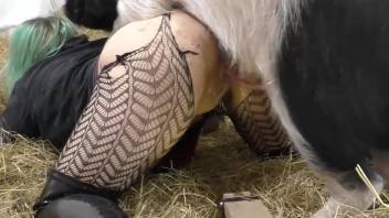 Sexy green-haired babe chooses to screw a cute swine