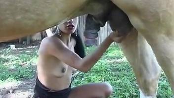 Horse with a huge cock fucking a brunette's throat