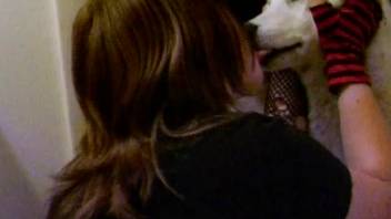 Incredible white hound and an enthusiastic novice animal enthusiast tramp