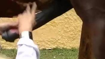 Small tits blonde masturbating after horse fucking