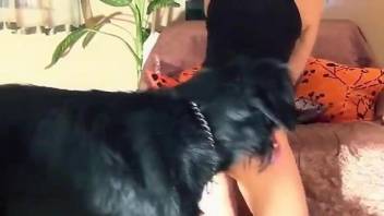 Hot brunette in sexy thongs devours dog's cock before getting laid