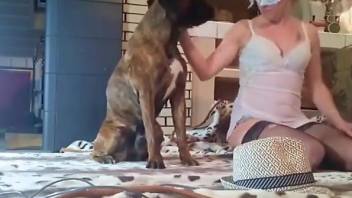 Hottie in fishnets surrenders her pussy to a dog