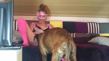 Dashing woman toy fucks her wet cunt in scenes of home zoophilia