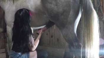Horse with a huge penis getting seduced by a brunette