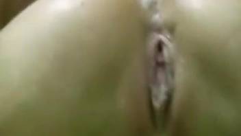 Really freaky porn movie with passionate zoophile action