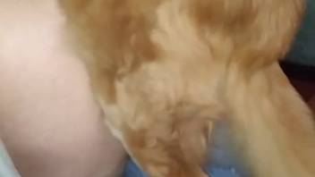 Dark brute dominating a stunning woman's fiery slit in doggy style