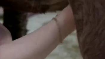 Naked women manage enormous horse penis in ruthless adult video