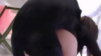Perky ass babe shows her pussy and fucks a dog