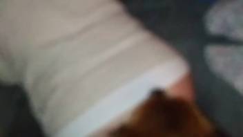Curvy animal lover relishing intense pounding on webcam