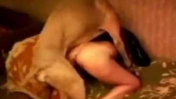 Round booty babe getting dominated by her dog