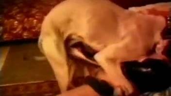 Canine mounts female and causes her to climax like a whore